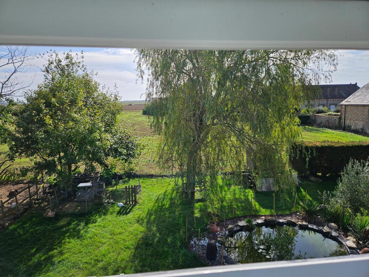 Bed & Breakfast Au Nid Des Champs, Agreable D'hotes, Proche De Chartres Dammarie (Eure-et-Loir)